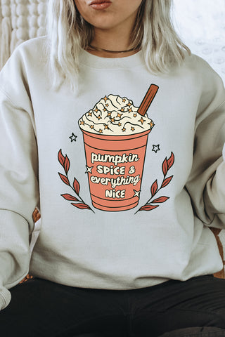 Pumpkin Spice and Everything Nice Sweatshirt